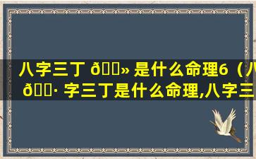 八字三丁 🌻 是什么命理6（八 🌷 字三丁是什么命理,八字三个丁火的人）